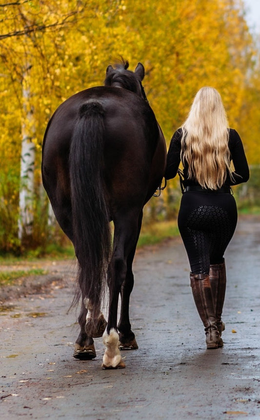 Elite Compression Breeches